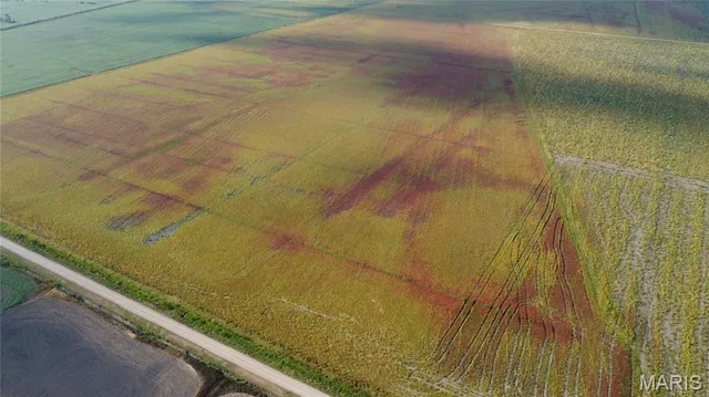 $4,700,000 | 0 County Road 507, East Prairie, MO 63845