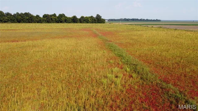 $4,700,000 | 0 County Road 507, East Prairie, MO 63845