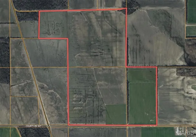 $4,700,000 | 0 County Road 507, East Prairie, MO 63845