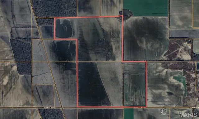 $4,700,000 | 0 County Road 507, East Prairie, MO 63845