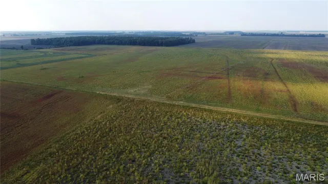 $4,700,000 | 0 County Road 507, East Prairie, MO 63845