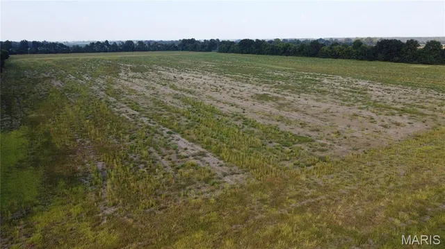 $4,700,000 | 0 County Road 507, East Prairie, MO 63845