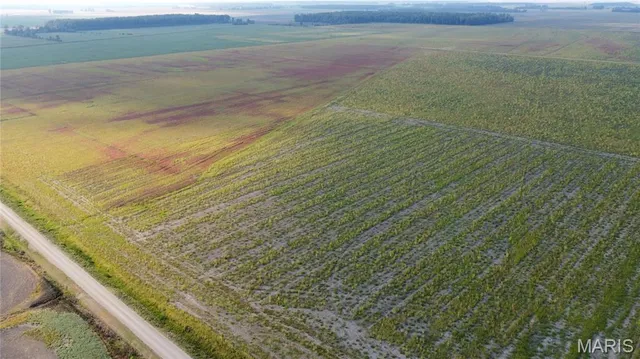 $4,700,000 | 0 County Road 507, East Prairie, MO 63845