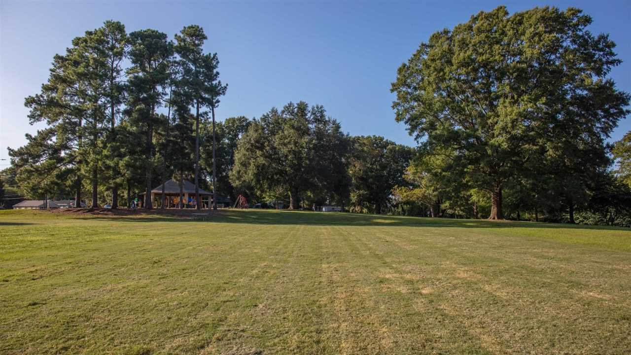 18 Gilbert Avenue Raleigh, NC 27603 - Photo 14 of 16 Photo 14