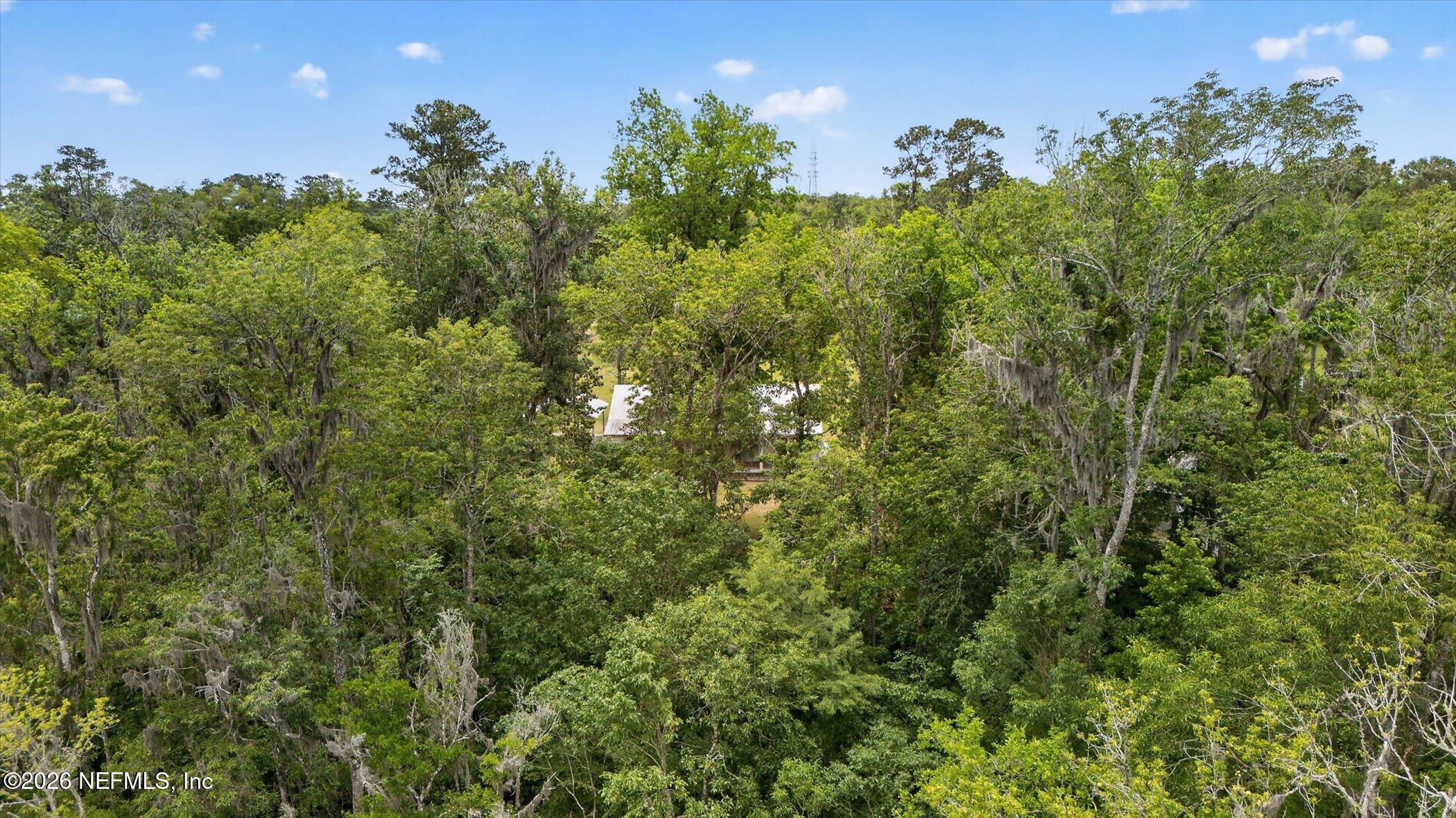 2189 Thorp Road Green Cove Springs, FL 32043 - Photo 49 of 61 49-2189-Thorp-Rd-Green-Cove-Springs-FL-3