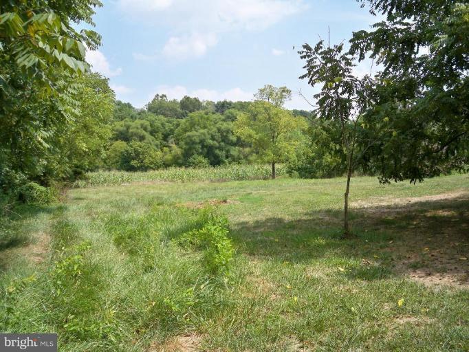 11902 Beaver Dam Road Union Bridge, MD 21791 - Photo 23 of 25 a view of a grassy field with trees
