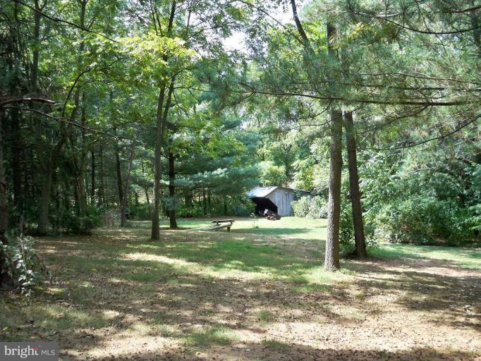 11902 Beaver Dam Road Union Bridge, MD 21791 - Photo 25 of 25 a backyard of a house with a trees and plants