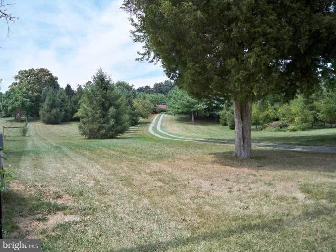 11902 Beaver Dam Road Union Bridge, MD 21791 - Photo 4 of 25 a view of a yard with a tree