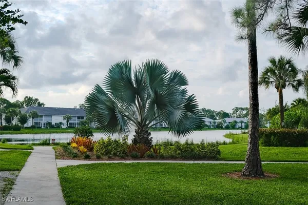 a view of a park and palm trees