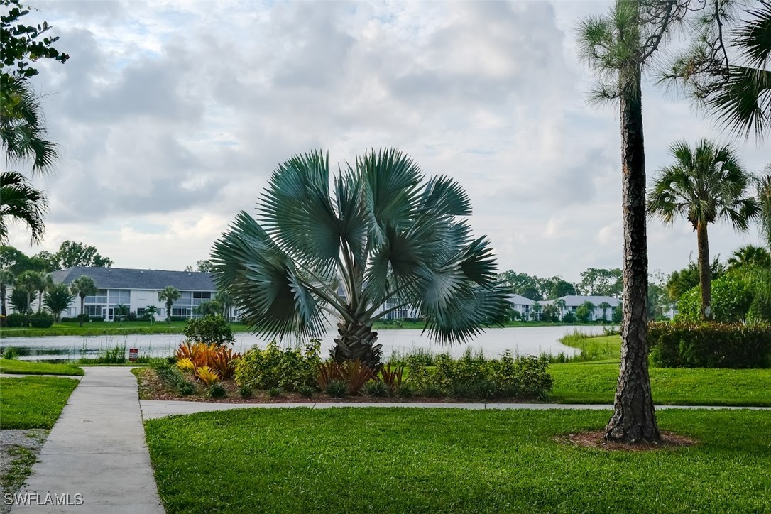 345 Gabriel Circle, Unit 2411 Naples, FL 34104 - Photo 11 of 13 a view of a park and palm trees