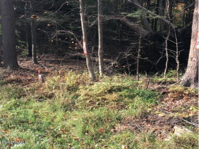 Lot 33-0 South Washington State Road Becket, MA 01223 - Photo 3 of 6 a backyard of a house