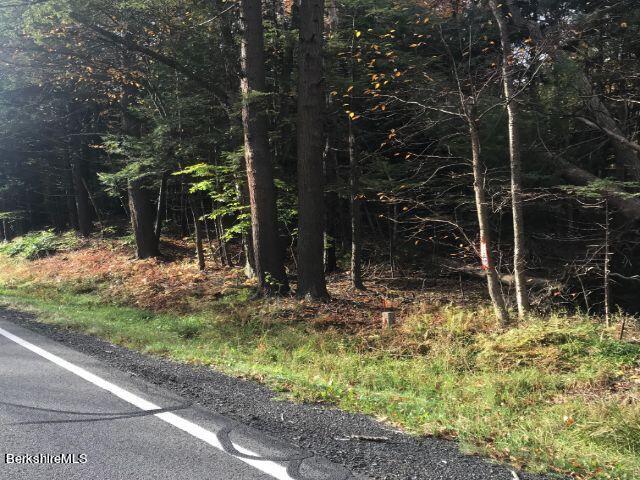 Lot 33-0 South Washington State Road Becket, MA 01223 - Photo 4 of 6 a backyard of a house with lots of green space