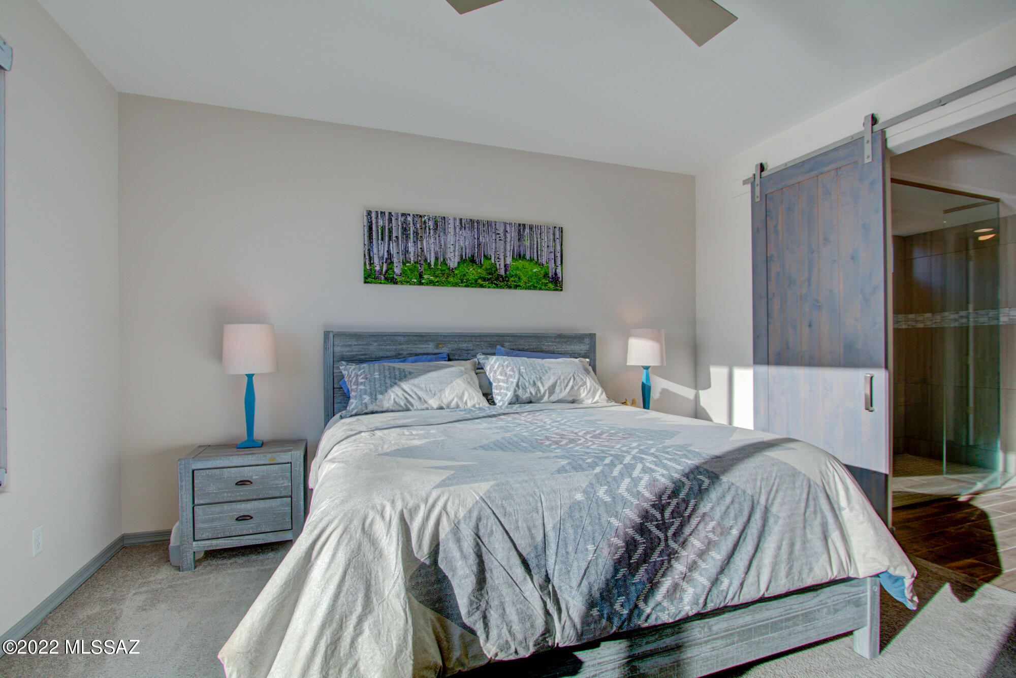 11911 North Raphael Way Tucson, AZ 85742 - Photo 20 of 39 Gallery Image 20