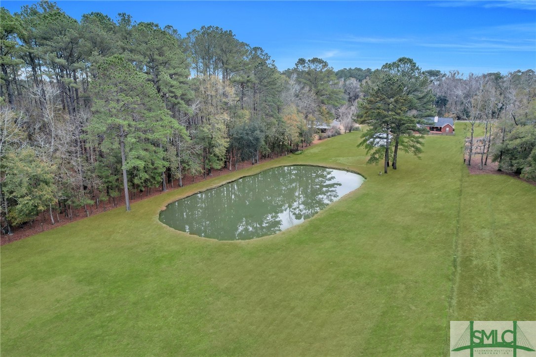 6 Hiram Road Bloomingdale, GA 31302 - Photo 40 of 45 Pond