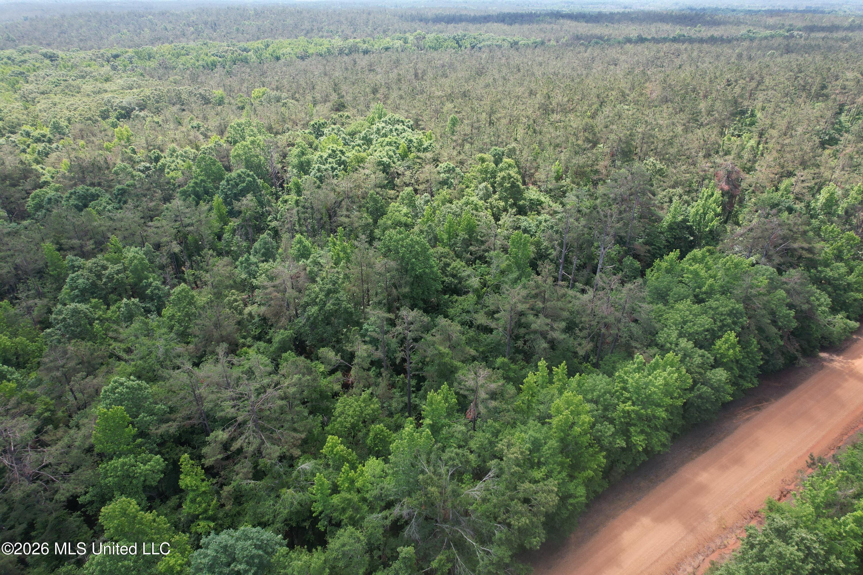 West Boulevard West, MS 39192 - Photo 3 of 9 DJI_0316
