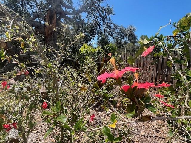 321 Ravenna Street North Nokomis, FL 34275 - Photo 11 of 18 a view of a flower