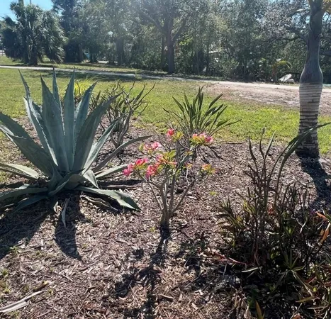 a view of a backyard with plants