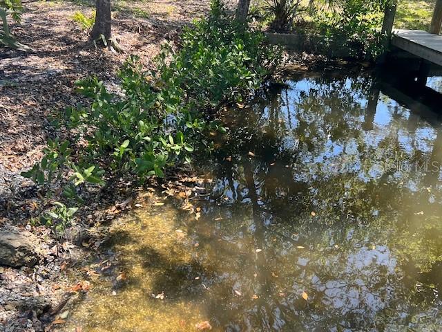 321 Ravenna Street North Nokomis, FL 34275 - Photo 6 of 18 a view of a tree with lots of bushes