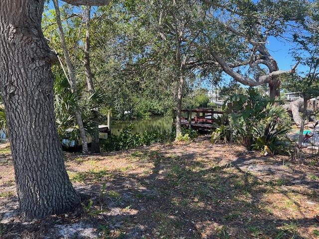 321 Ravenna Street North Nokomis, FL 34275 - Photo 9 of 18 a view of a yard with a tree