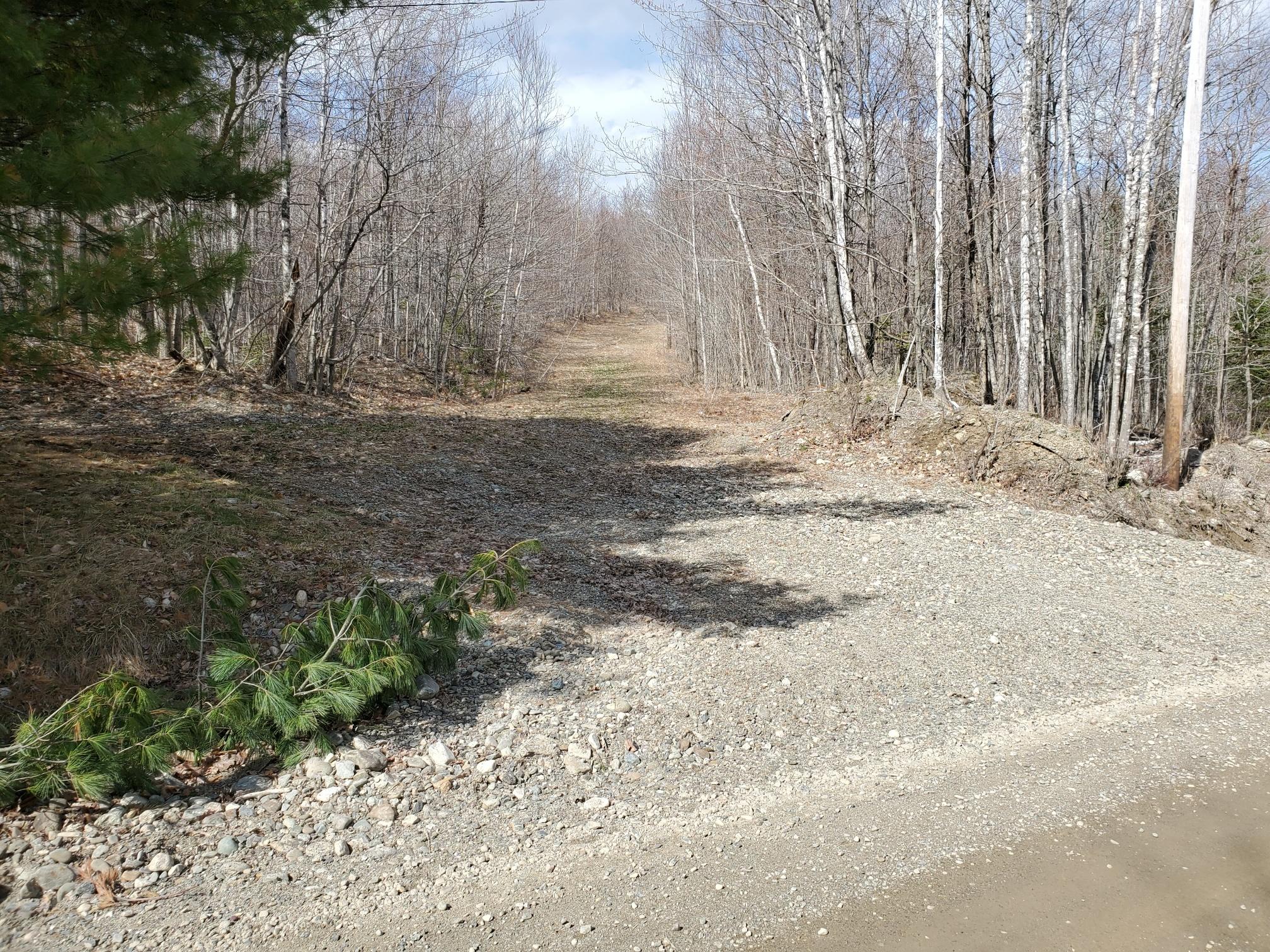 0 Arab Road Lee, ME 04455 - Photo 4 of 34 Driveway at Arab Rd