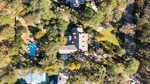 a picture of trees