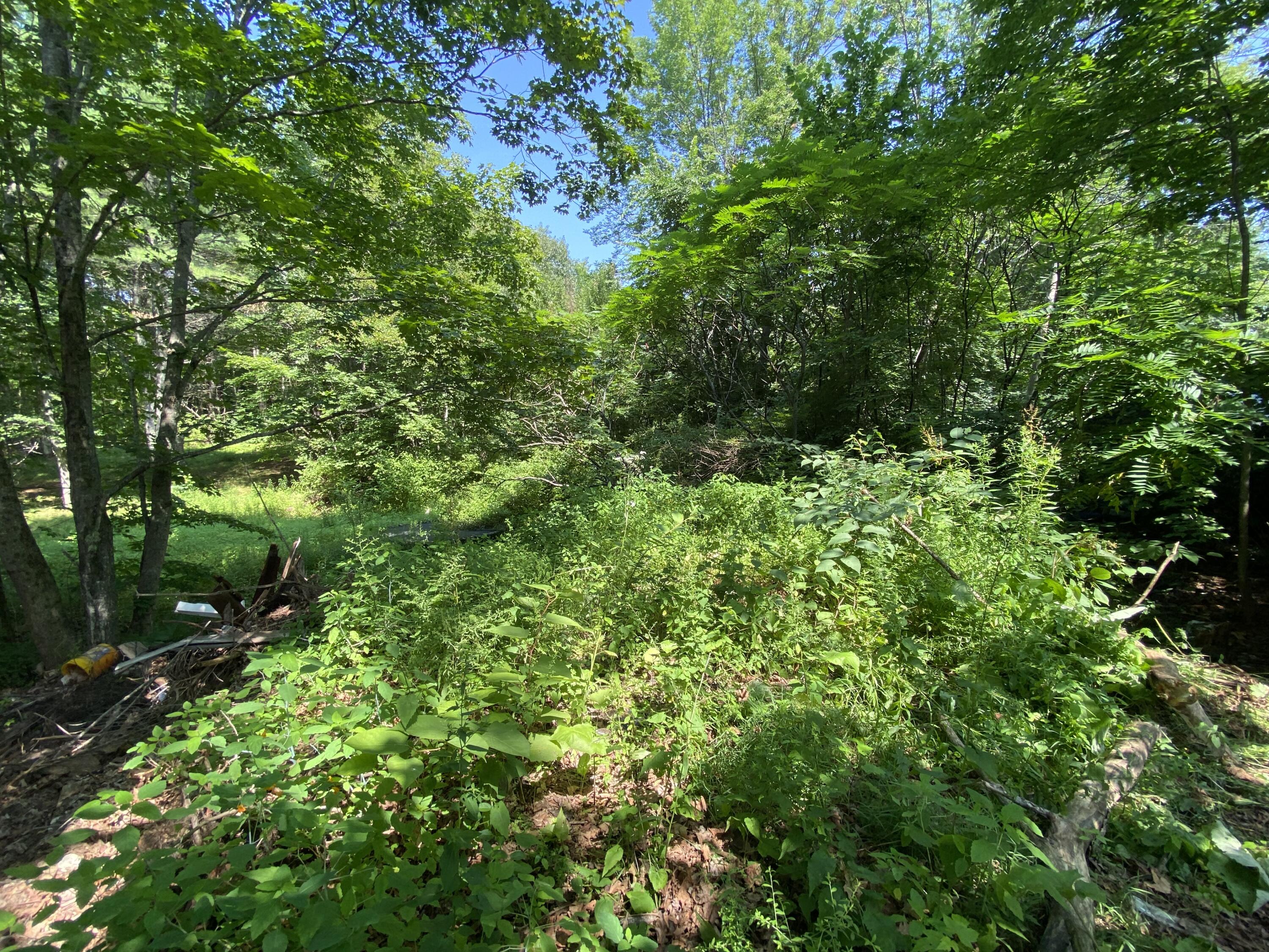 44 Towle Street Buxton, ME 04093 - Photo 23 of 26 956227C8-5400-4819-845D-2BF1DB404B97