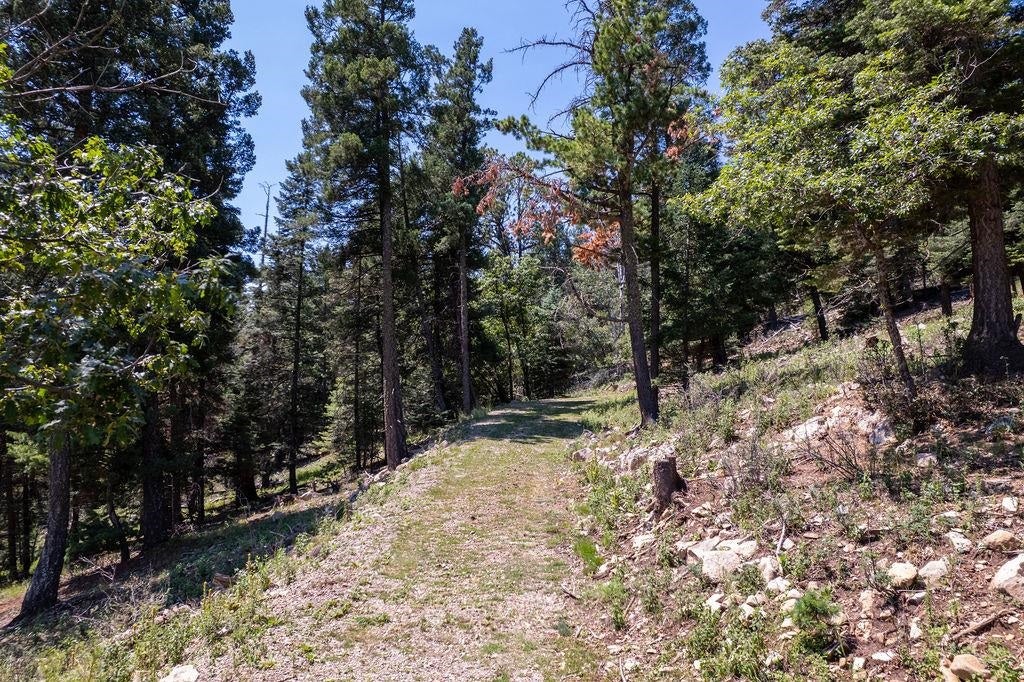 33 Clear Sky Road Cloudcroft, NM 88317 - Photo 15 of 23 Gallery Image 15