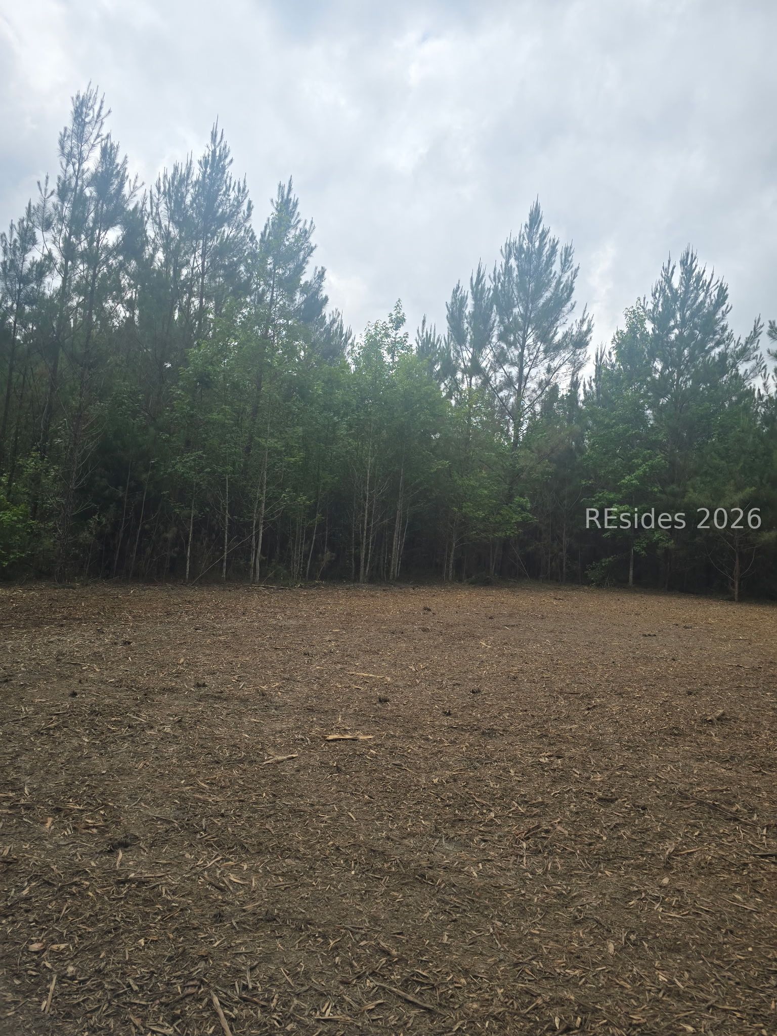Tbd Firetower Road Ridgeland, SC 29936 - Photo 16 of 17