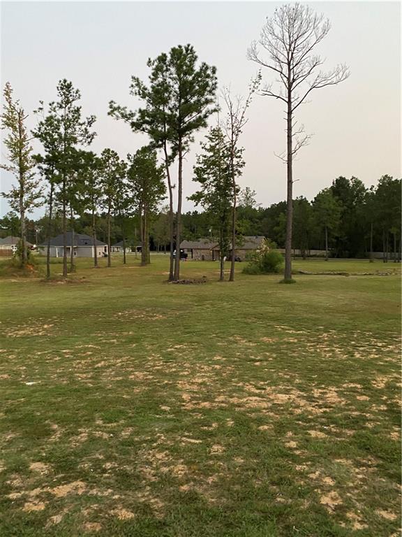 17 Lofton Cemetary Road Pineville, LA 71360 - Photo 10 of 27 Gallery Image 10