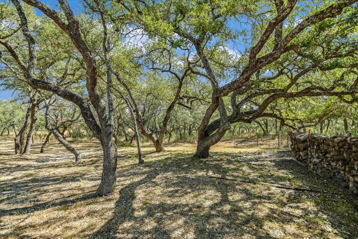 878 Ranch Road 2766 Johnson City, TX 78636 - Photo 21 of 40 a view of empty space with large trees
