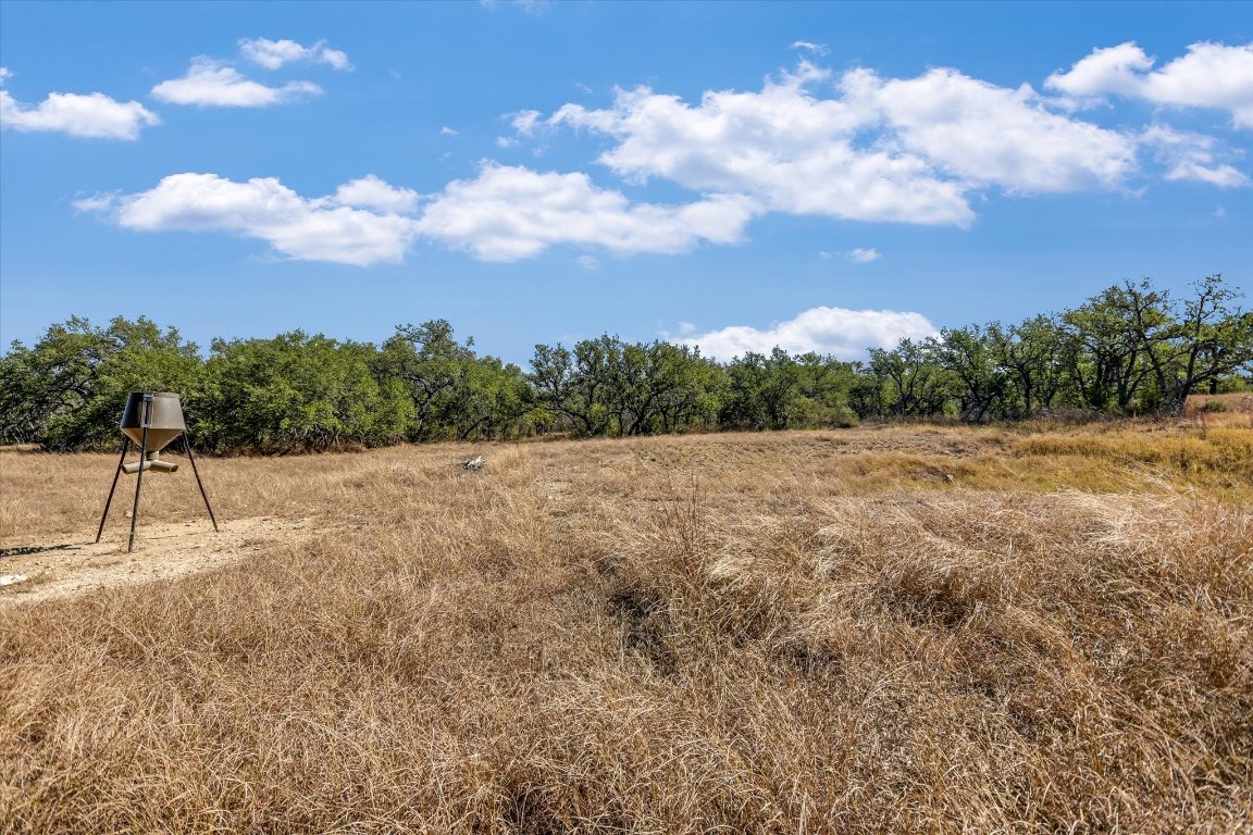 878 Ranch Road 2766 Johnson City, TX 78636 - Photo 26 of 40 a view of a backyard