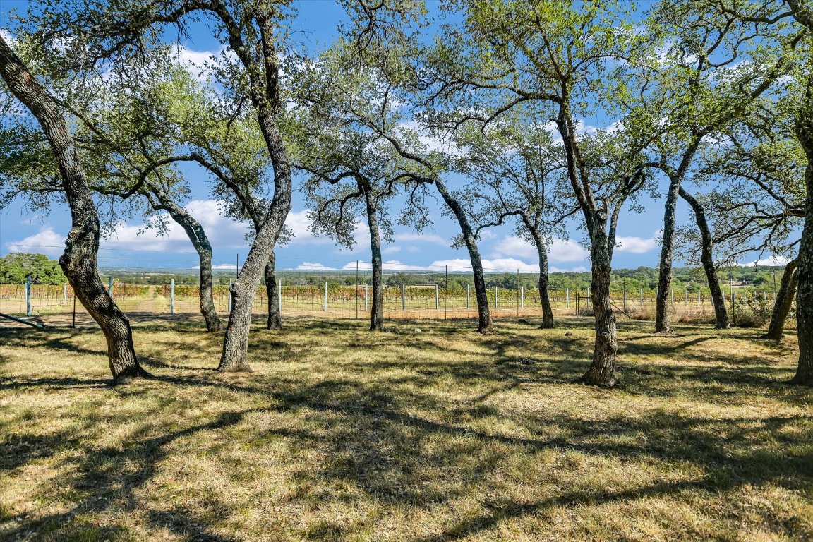 878 Ranch Road 2766 Johnson City, TX 78636 - Photo 5 of 40