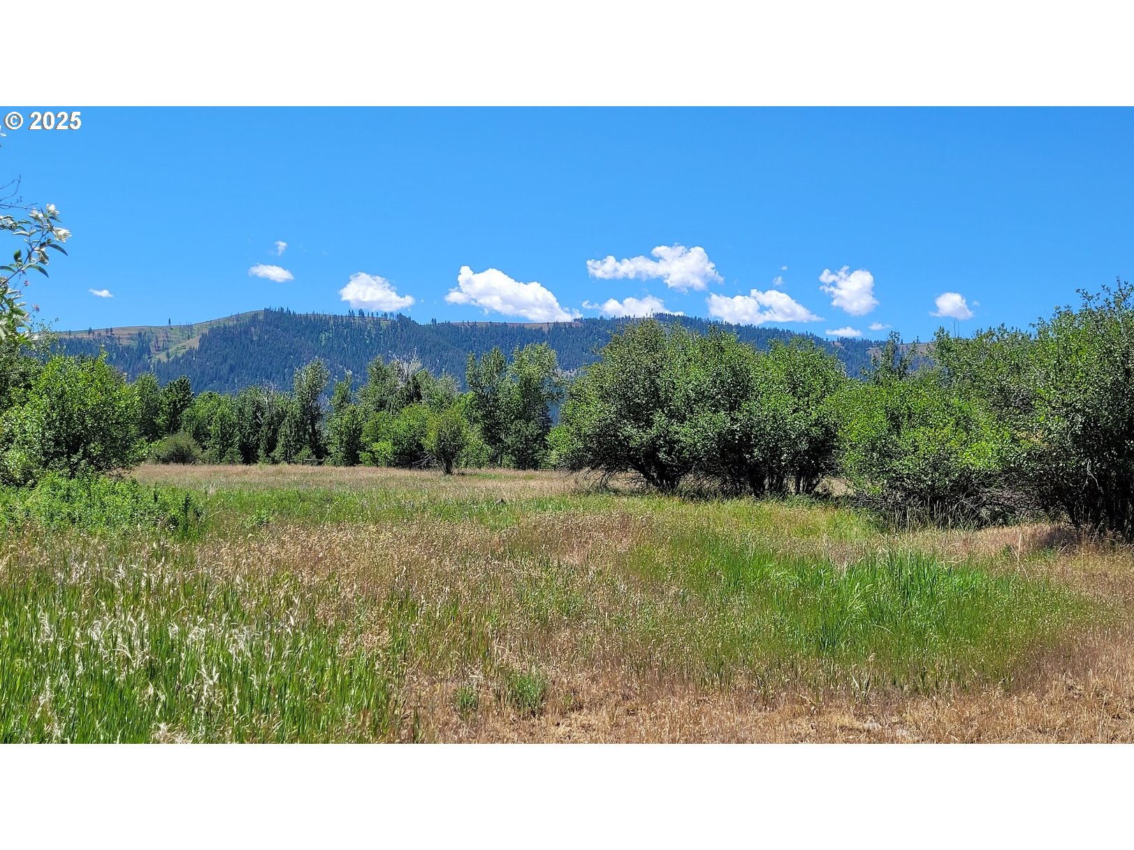 Slaughterhouse Road Halfway, OR 97834 - Photo 11 of 12 Gallery Image 11