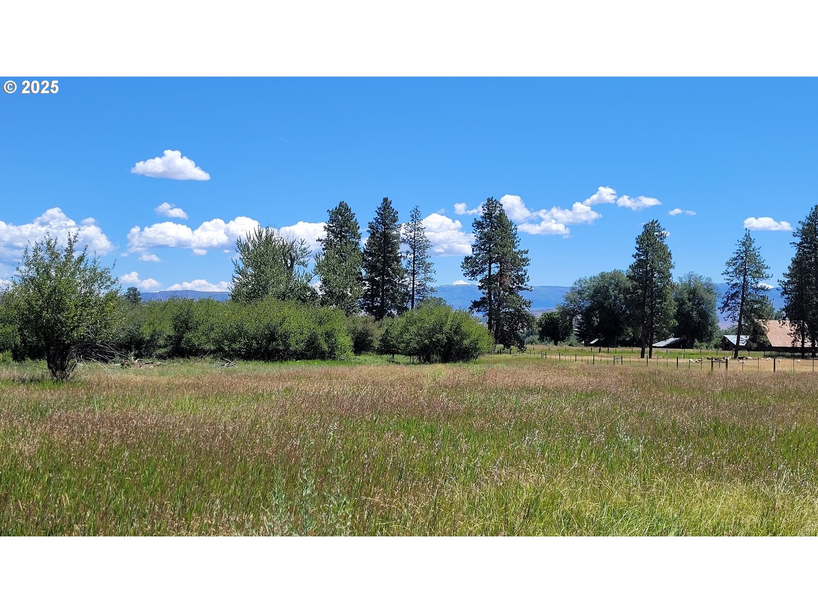 Slaughterhouse Road Halfway, OR 97834 - Photo 8 of 12 Gallery Image 8