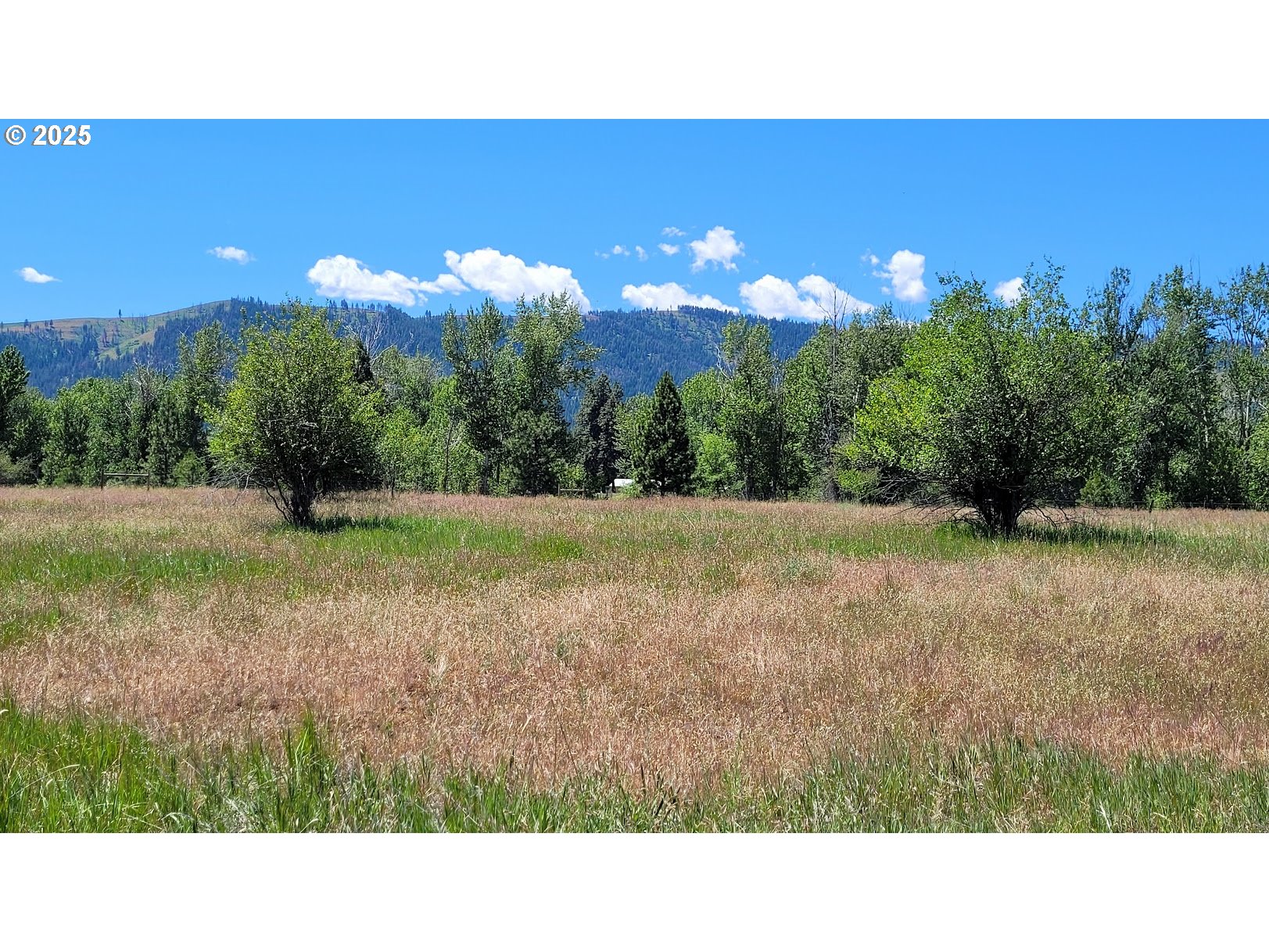 Slaughterhouse Road Halfway, OR 97834 - Photo 10 of 12 Gallery Image 10