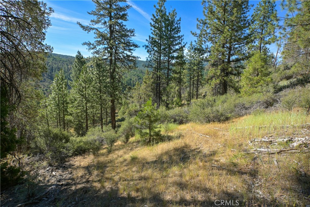 1 Duzel Creek Road Fort Jones, CA 96032 - Photo 2 of 38