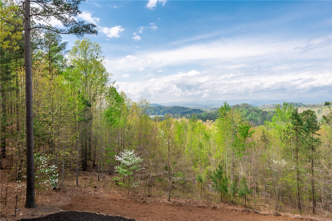 130 Saranac Drive Sunset, SC 29685 - Photo 14 of 46 view from lower level patio