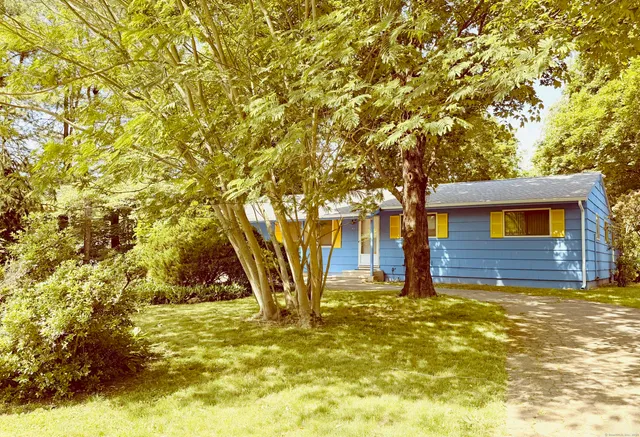 a view of a yard with a tree