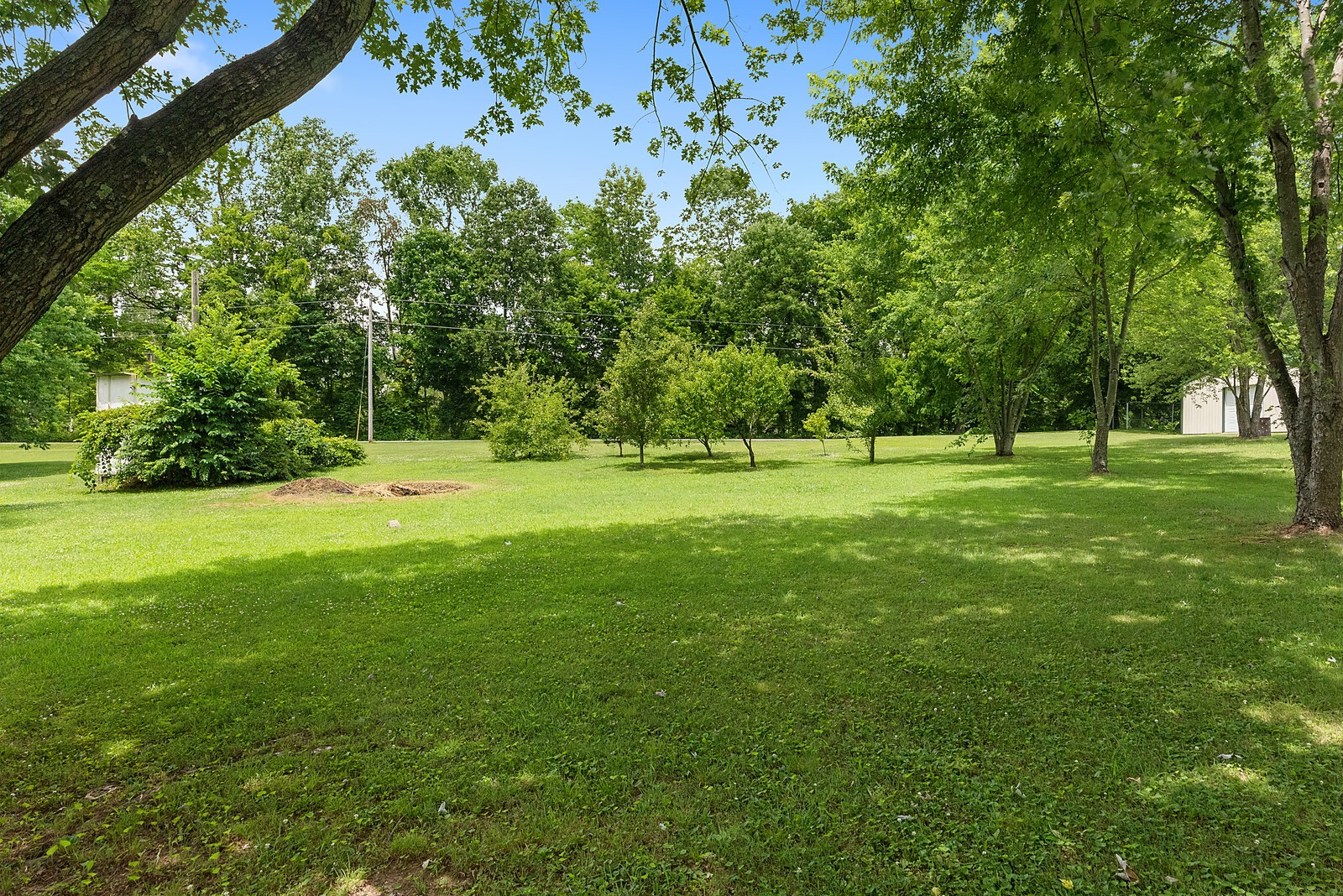 6614 Highway 49 Springfield, TN 37172 - Photo 19 of 19 a view of a grassy field with trees
