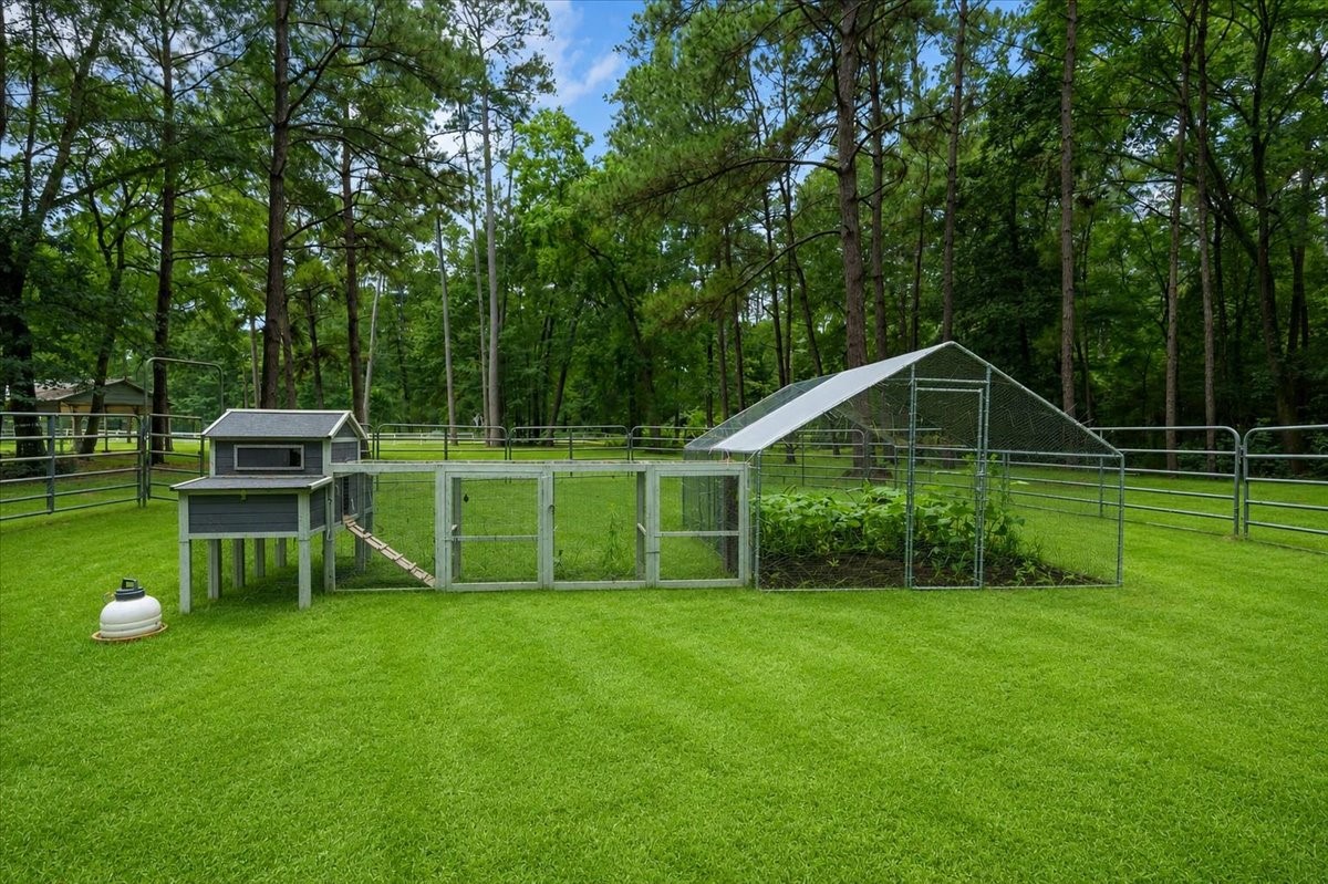 16375 Grand Flower Road Plantersville, TX 77363 - Photo 25 of 50 a view of a chair and table on the green field