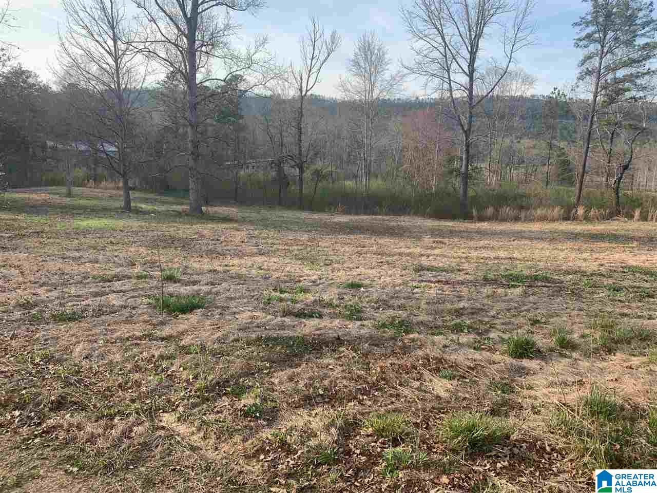 45 Haley Acres Vandiver, AL 35176 - Photo 9 of 13