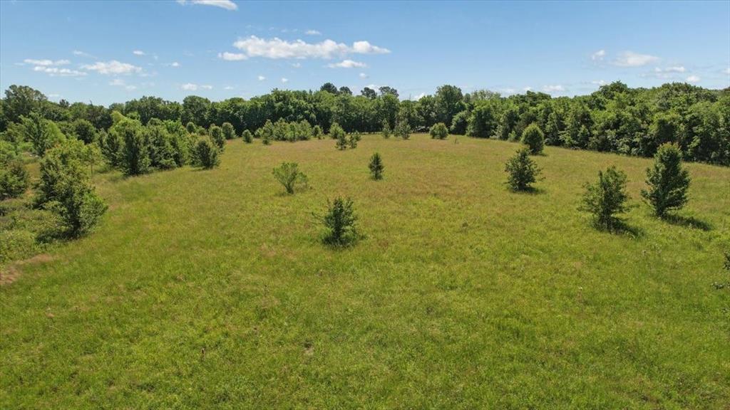 801 Jefferson Road Paris, TX 75460 - Photo 14 of 20 a view of a lake with houses in the back