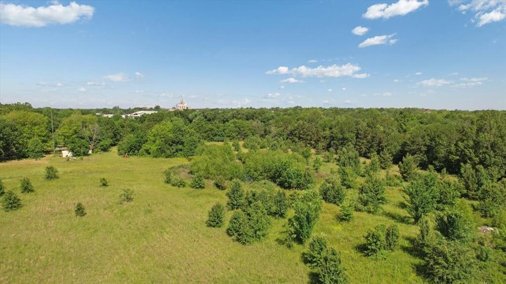 801 Jefferson Road Paris, TX 75460 - Photo 18 of 20 a view of a big yard
