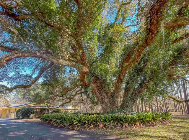 $559,000 | 3371 Baum Road, Tallahassee, FL 32317