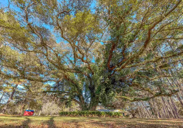 $559,000 | 3371 Baum Road, Tallahassee, FL 32317