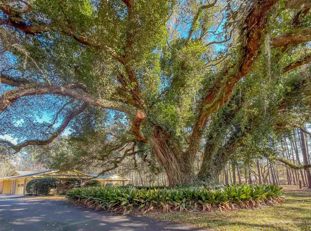 $559,000 | 3371 Baum Road, Tallahassee, FL 32317