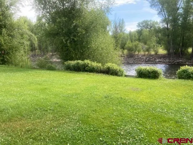 a view of a field of grass and trees