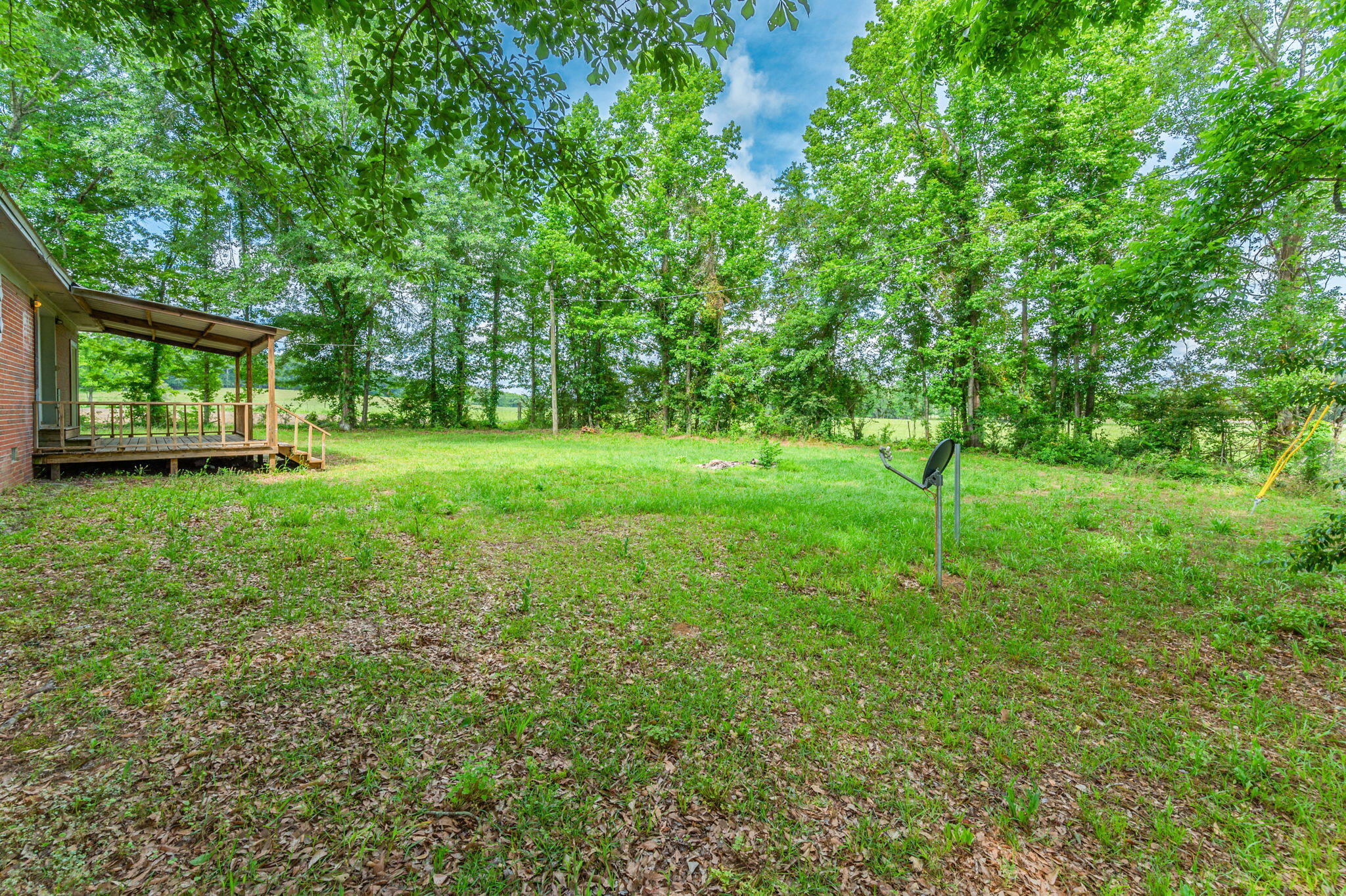 1099 Highway 2 Westville, FL 32464 - Photo 34 of 34 a view of a grassy field with trees