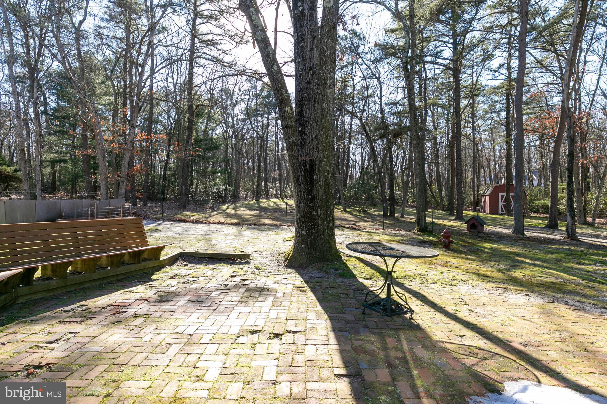 1358 Stokes Road Medford, NJ 08055 - Photo 36 of 36 a view of a park with large trees