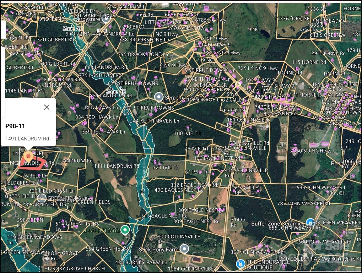 1491 Landrum Road Columbus, NC 28722 - Photo 14 of 17